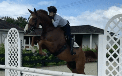 BLIND EQUESTRIAN OVERCOMES IMPOSSIBLE ODDS, FORMS EXTRAORDINARY BOND WITH HORSE